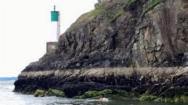 在横渡英吉利海峡前艾米莉先环游了Bowen岛