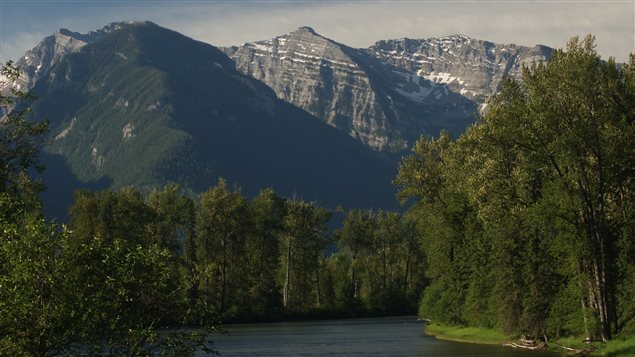 One of the destinations is in British Columbia and features a trail through the world’s oldest-known cottonwood trees. 