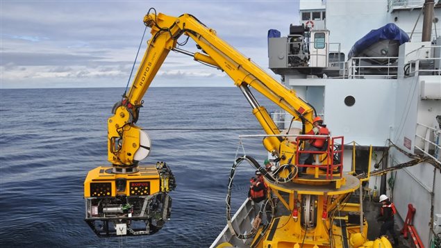 A state-of-the-art robot will descend into the gulf and transmit images by use of a high-definition camera.
