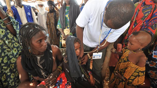 Médico de la OIM examina a migrantes en un campamento en Níger.