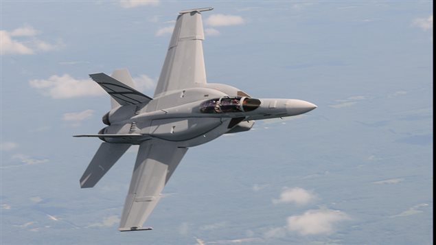 The Boeing Super Hornet, looks similar to the Hornet but in essence is a different plane bigger, stronger, more fuel capacity, more weapons capability, and upgraded technology.