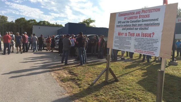 About 100 fishermen were protesting at the Department of Fisheries and Oceans office in Digby, N.S., on Thursday. 
