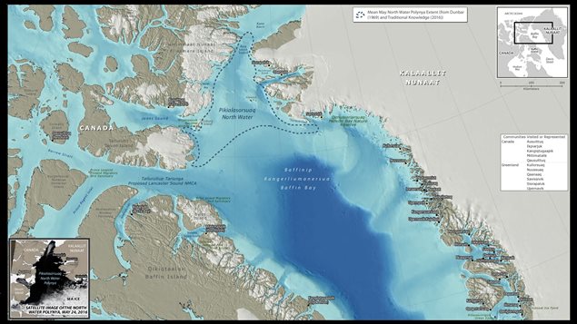 The North Water Polynya, or Pikialasorsuaq "The Great Upwelling" in Inuktitut, is the largest Arctic polynya and the most biologically productive region north of the Arctic Circle. (Source: Inuit Circumpolar Council)