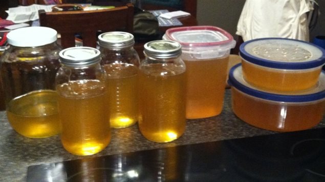 Scientists tested 198 honey samples from around the world and found traces of one or more toxic pesticides in 75 % of them.