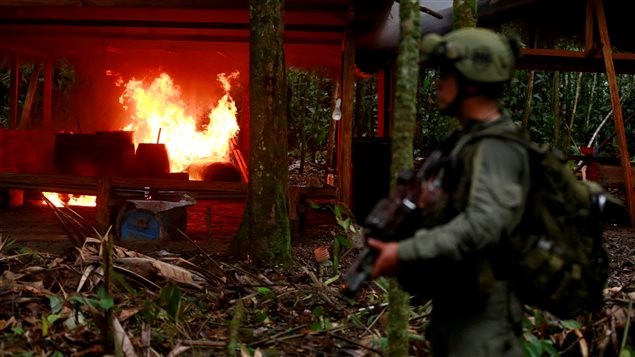 Policía antinarcórticos de Colombia quema laboratorio de coca.