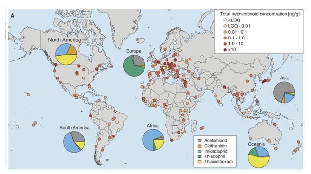 Fig. 1Worldwide contamination of honey by neonicotinoids.(A) Worldwide distribution of honey contamination by neonicotinoids. White symbols, concentration below quantification levels (<LOQ) for all tested neonicotinoids; colored symbols,