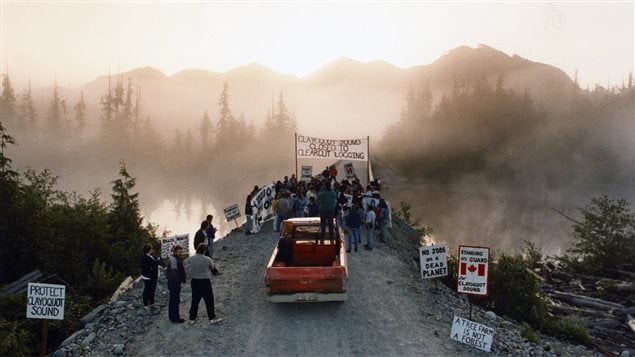 Manifestación contra la tala de árboles en Clayoquot Sound, Columbia Británica, en 1993.
