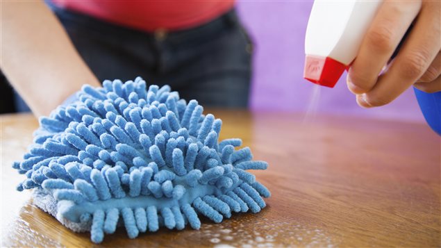 Canadians should have information about what is in the cleaning products they use, according to Environmental Defence.