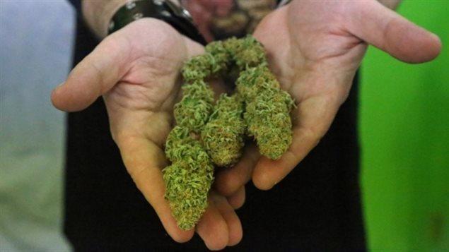 网购大麻就无法确认购买者的年龄