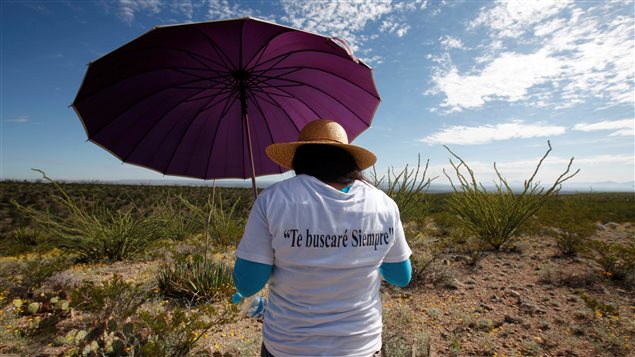 Le membre d’une organisation civile recherche avec d’autres dans la vallée de Juarez les dépouilles de femmes portées disparues au cours des dernières années. Sur la chemise de la femme on peut lire : « Je te chercherai toujours. »   