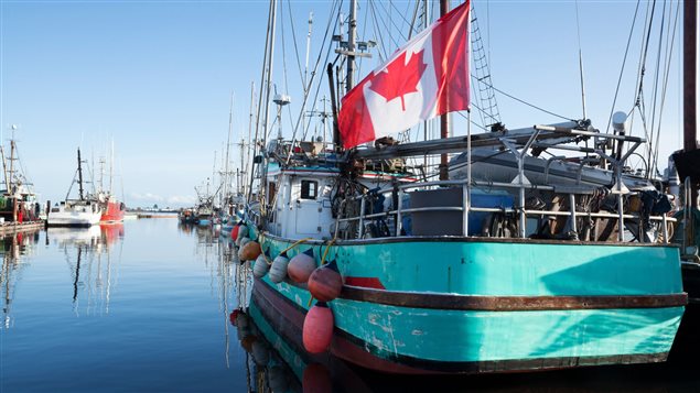 Rebuilding fish stocks is critical to preserving Canada’s fishing industry which employs more than 79,000 people, says Robert Rangeley.