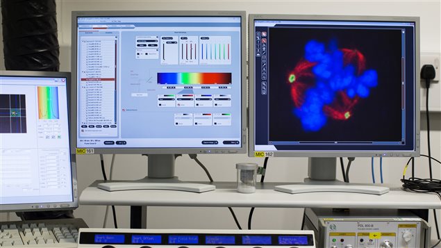 Un ordinateur présentant les résultats d’une recherche sur le cancer.