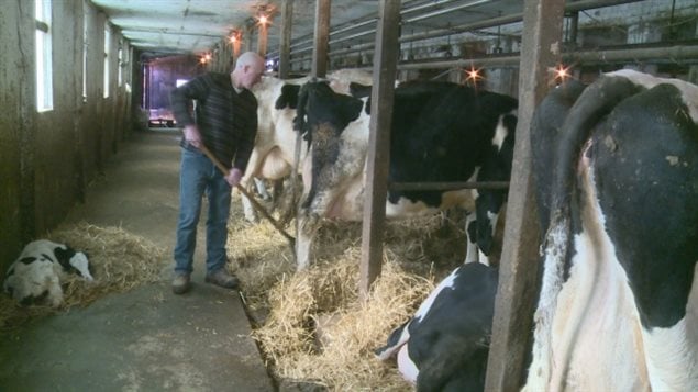 Douglas Campbell has worked on the farm his entire life, taking it over 25 years ago. He’ls concerned about small farms dissappearing as corporate and foreign interests buy up farms