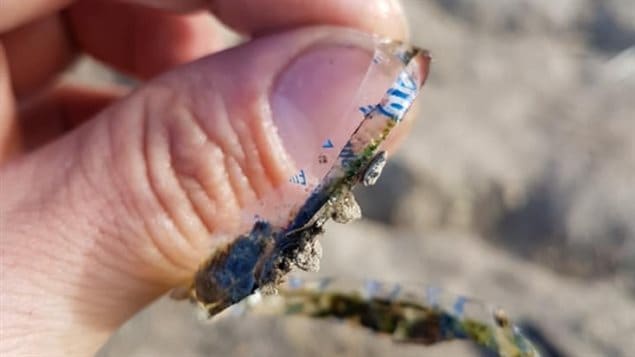 Turnbull says the plastic ring came from a Powerade container, He cut it off the fish which he says was able to swim away *like a dart* adding it seemed to enjoy its new freedom