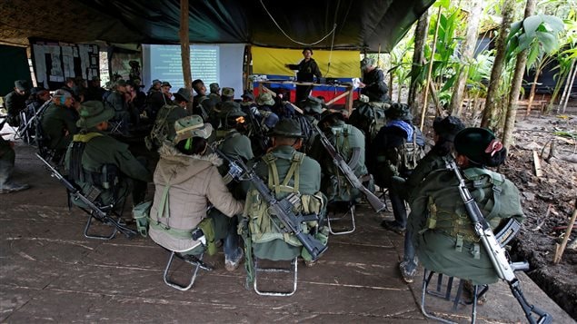 Miembros del Frente 51 de las Fuerzas Armadas Revolucionarias de Colombia (FARC) escuchan una conferencia sobre el proceso de paz entre el gobierno colombiano y su fuerza en un campamento en la Cordillera Oriental, Colombia, el 16 de agosto de 2016. 