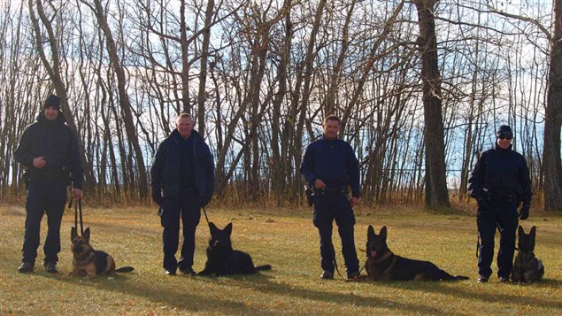 These are the first four RCMP dog teams trained or in training to detect human remains.