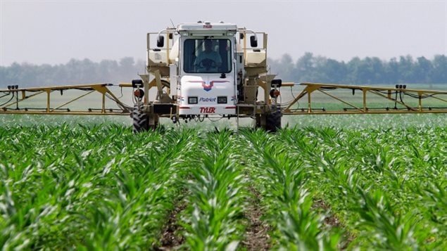 Opposition continues to the merger of Bayer and Monsanto. With other mega mergers in the chemical and seed industry, it would mean a clear majority of the world agri-chem and seed market would be controlled by three giant companies