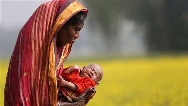 Monowara holds her 22-day-old grandson Arafat, as she walks through a mustard field on the outskirts of Dhaka January 22, 2014.