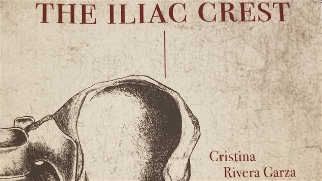 Detalle de la tapa de la novela de Cristina Rivera Garza *The Iliac Crest*.