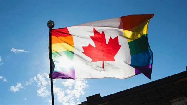 A man holds a modified Canadian flag with Pride colours during the gay pride parade in Toronto, June 30, 2013.