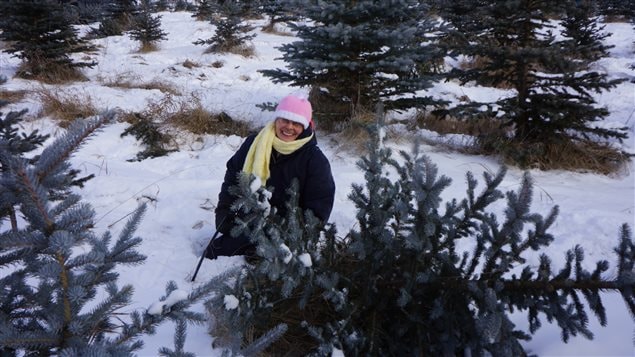 People who come to get a tree can enjoy the great Canadian outdoors and get some exercise, says conservationist.