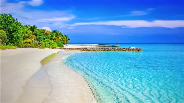 Sheltering money in off-shore tax havens may be legal but most Canadians think it’s wrong, suggests a recent poll.
