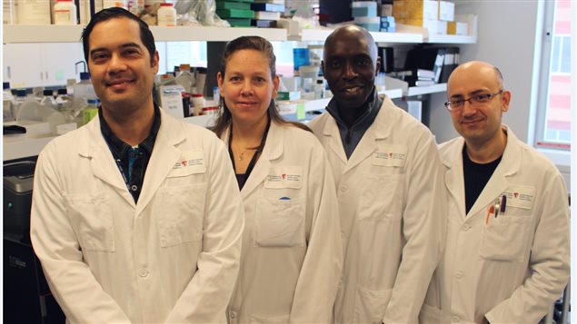   Montreal research team L-R Fabio Vasquez Camargo (Research Assistant), Nathalie Martel (Research Assistant), Momar Ndao (Director of the NRCP Laboratory, RI-MUHC),  and Makan Golizeh (Research Associate).