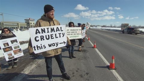 bout 50 protesters gathered along a stretch of highway east of Ottawa in March, where a lion was shot dead after it escaped its enclosure at the Papanack Zoo a week earlier. Animal rights activists say their movement is growing.