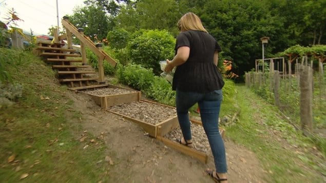 A woman walks on a homemade staircase in a small park in Etobicoke  The homemade stairs embarrassed the city over how quickly and inexpensively the man built the stairs, and spurred them to action..at a much lower cost than originally estimated.