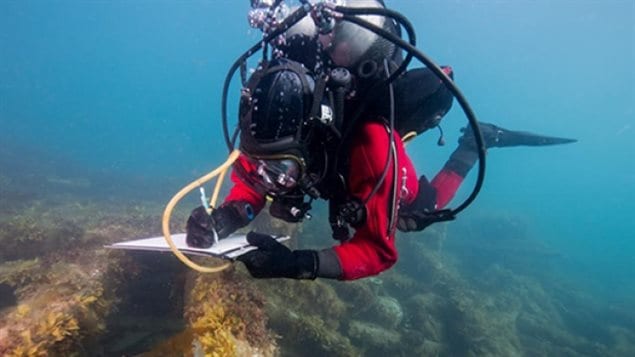 A Parks Canada diver inspects HMS Erebus, one of two ships that took part in the doomed Franklin Expedition. Britain has said it intends to retain ownership of some artifacts but is still negotiating what to pay to Canada for the recovery and restoration costs. 