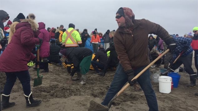 As the Atlantic tide continued to ebb, rescuers were forced to improvise to free the beached whale.