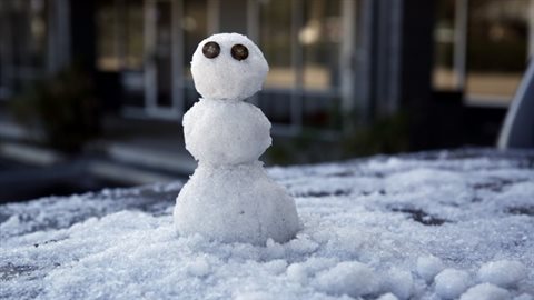 0,25 cm. De quoi faire un mini bonhomme de neige.PHOTO AP