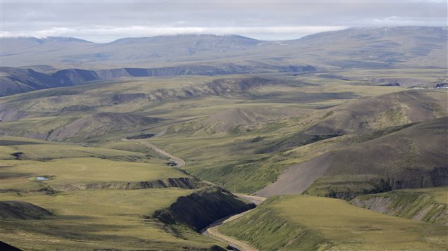 This Aug. 12, 2009 photo shows the Porcupine River Tundra in the Yukon Territories, Canada.
