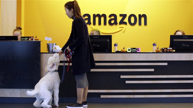 In this Wednesday, Oct. 11, 2017, file photo, an Amazon employee gives her dog a biscuit as the pair head into a company building, where dogs are welcome, in Seattle. Amazon announced Thursday, Jan. 18, 2018, that it has narrowed its hunt for a second headquarters to 20 locations, concentrated among cities in the U.S. East and Midwest. Toronto made the list as well, keeping the company’s international options open.