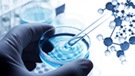 Blogue - Science