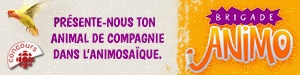 Présente-nous ton animal de compagnie dans l'Animosaïque
