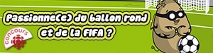 Passionné(e) du ballon rond et de la FIFA ?