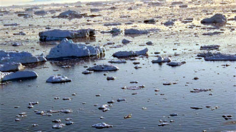 arctique