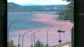 Déversement de résidus de bauxite