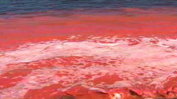 Boues rouges