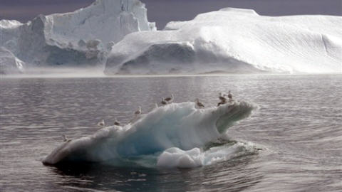 Arctique-glace