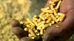 Granules de bois