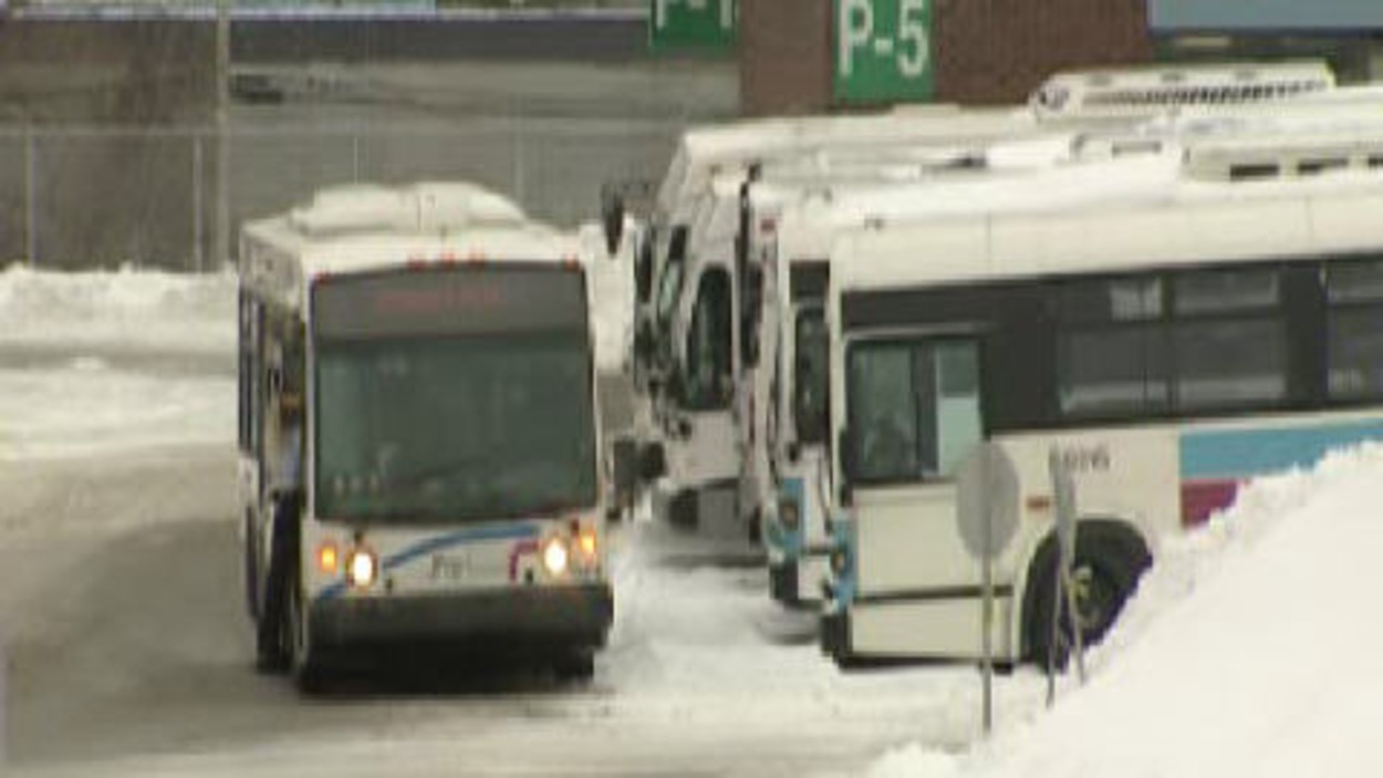 Des citoyens prêts à prendre l'autobus RadioCanada