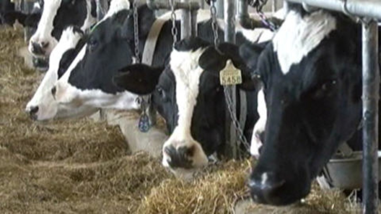 Coop Atlantique investit à Moncton RadioCanada