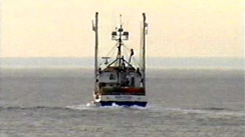 Pêche au crabe