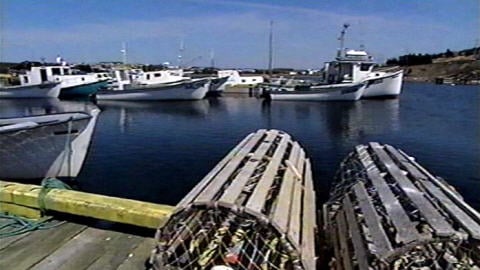 Port de pêche