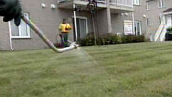 Pesticide
