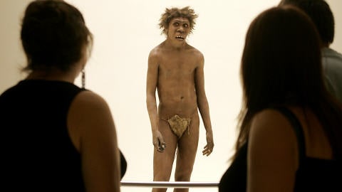 Représentation d'un homme de Néandertal