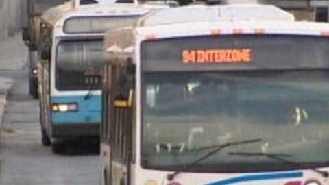 Des autobus de la STO