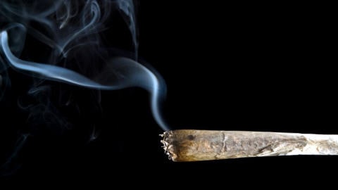 Un joint de cannabis
